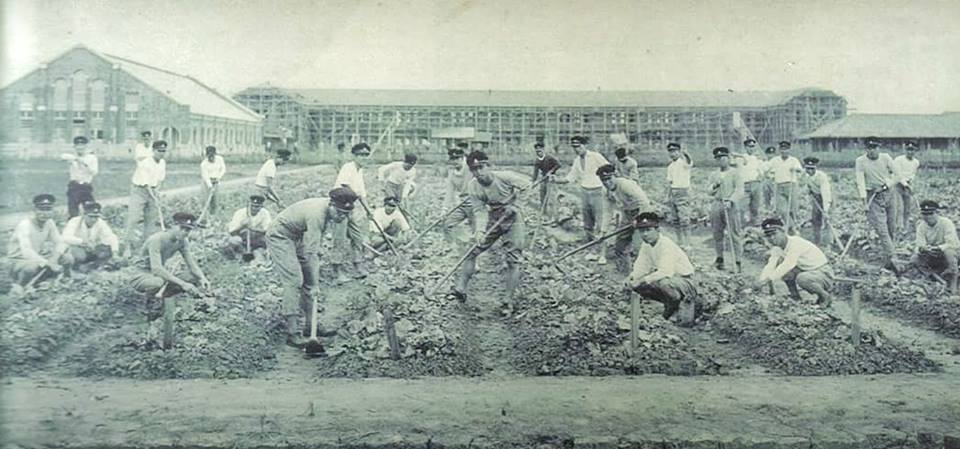 國立臺北教育大學日本時代時樣貌。引用自國立臺北教育大學官網。