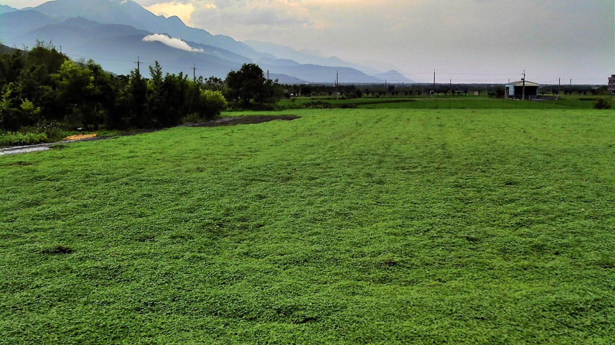 花蓮壽豐鄉一景